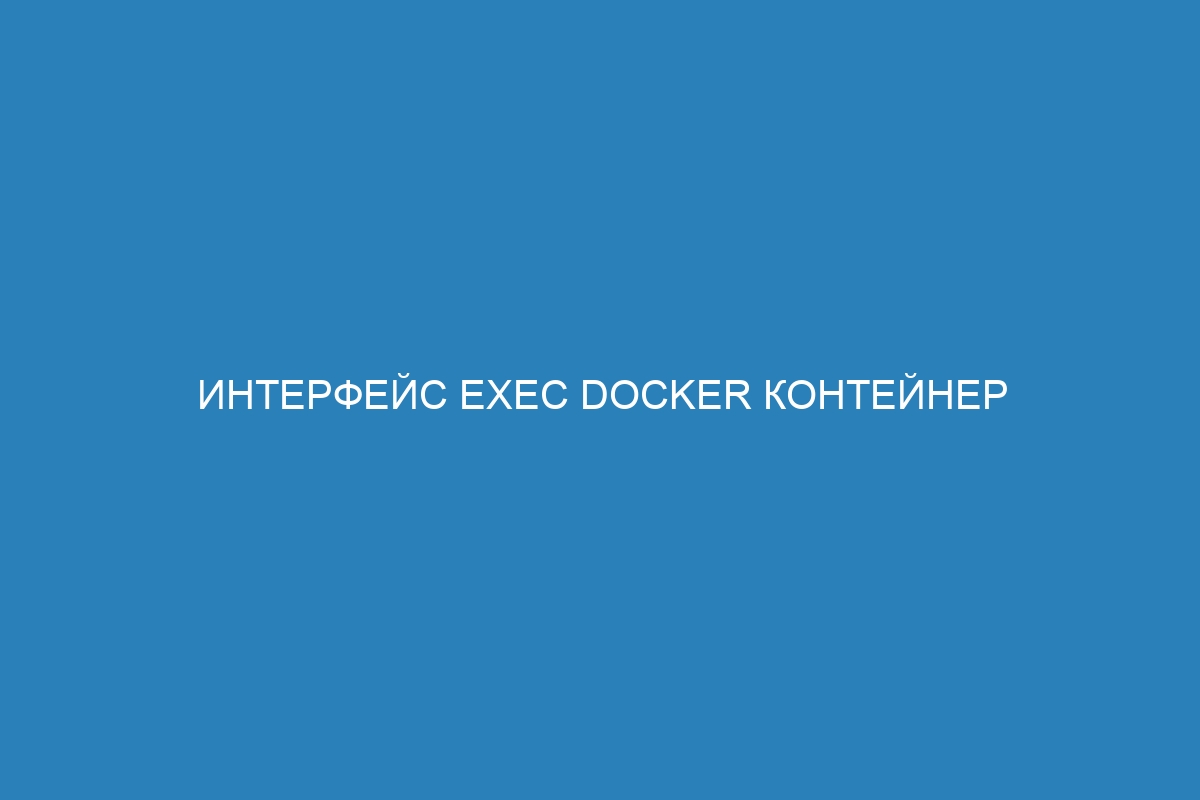 Интерфейс Exec Docker контейнер - примеры работы, инструкция для пользователей | Настройка и использование Exec в Docker