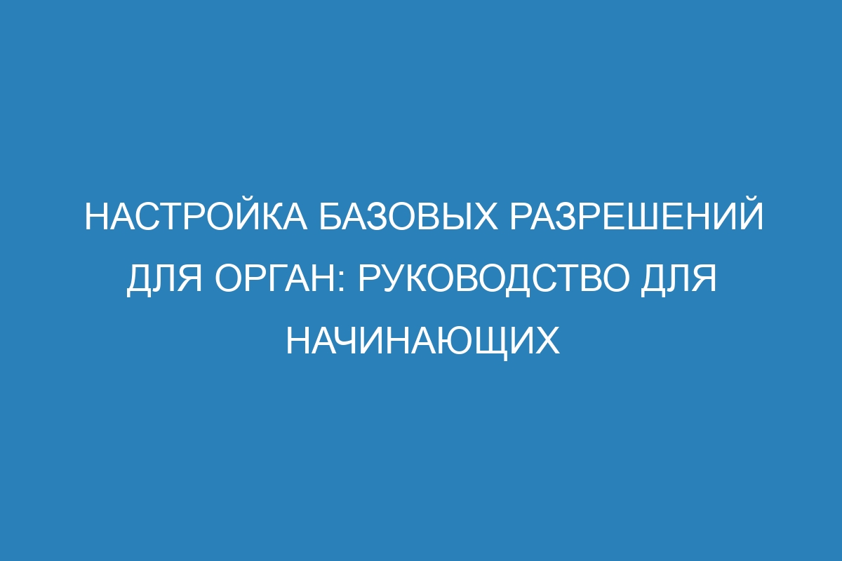 Настройка базовых разрешений для орган: руководство для начинающих