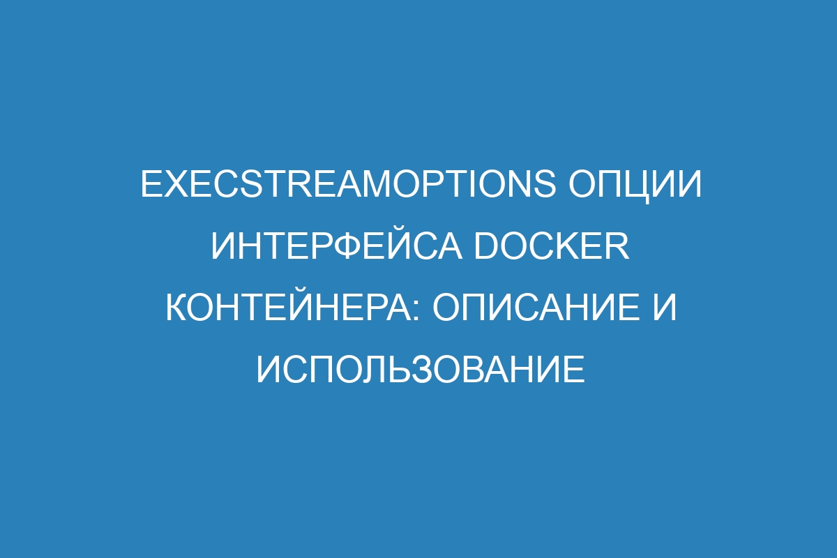 ExecStreamOptions Опции интерфейса Docker контейнера: описание и использование