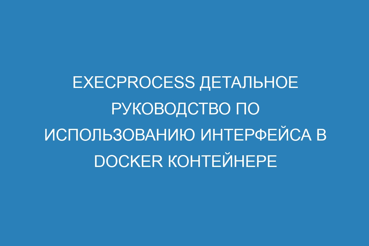 ExecProcess Детальное руководство по использованию интерфейса в Docker контейнере