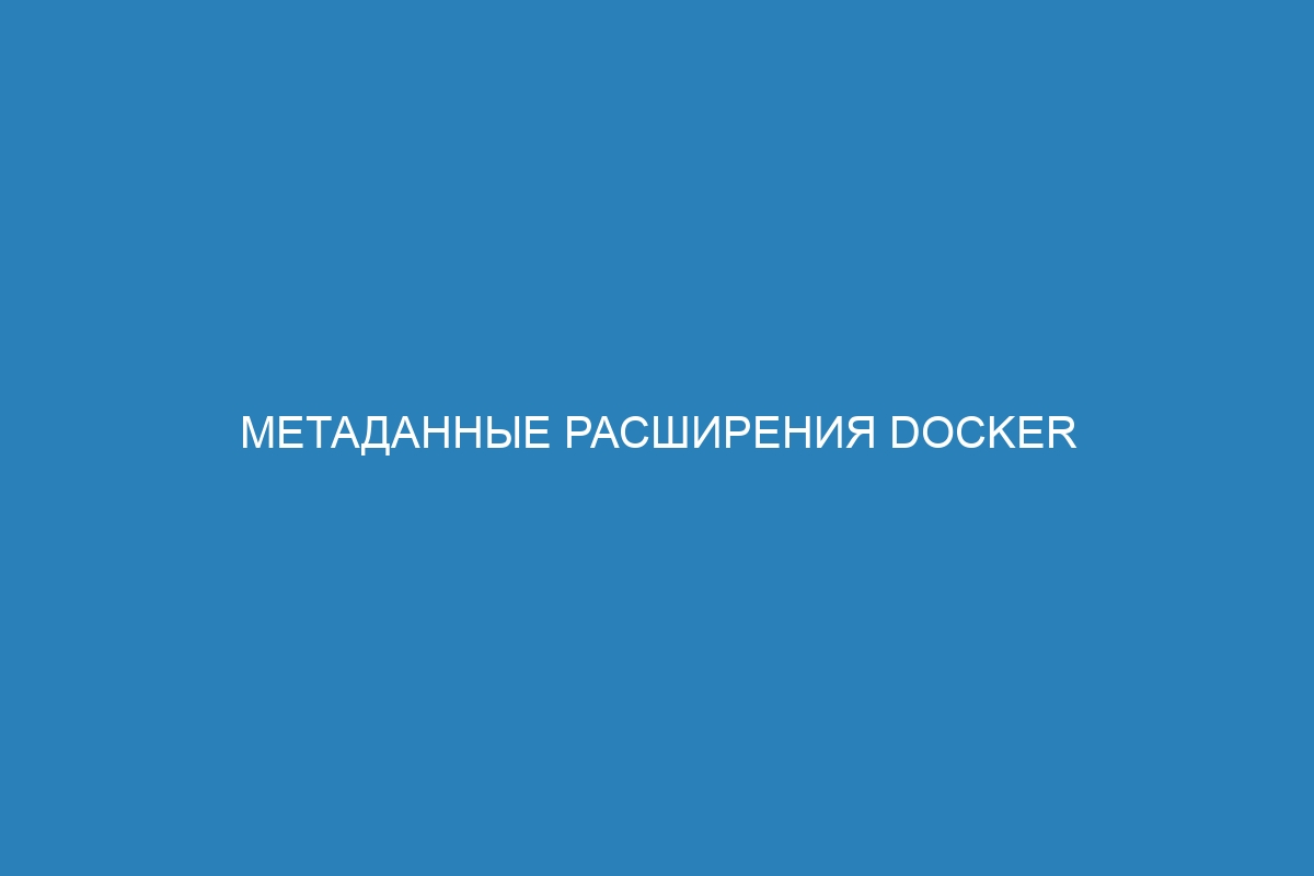 Метаданные расширения Docker контейнер: что это такое и как использовать